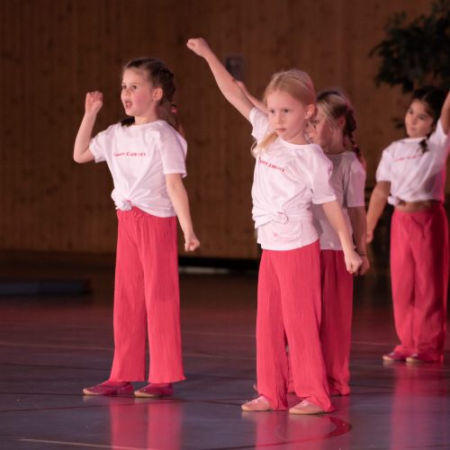 Happy Dancers 2016 - 2017 Jazz Modern