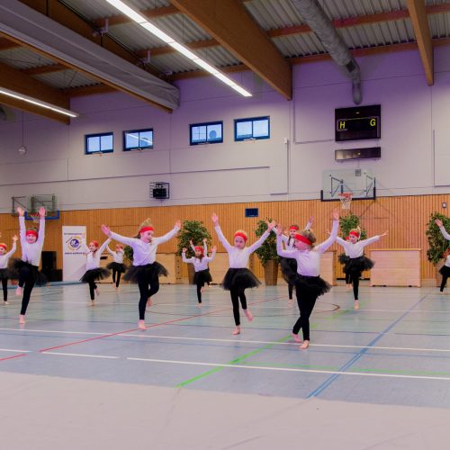 Neue Gruppe 2013 - 2015