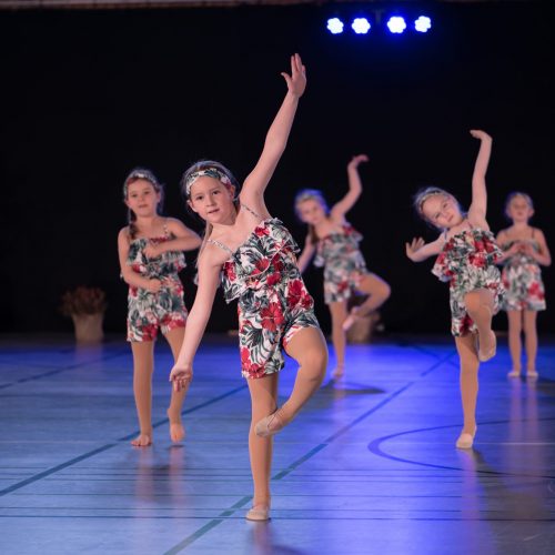 Tanzfeen 2015 - 2016 Jazz Modern
