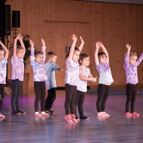 Tanzmäuse Jahrgang 2017 - 2019